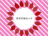 bouquet 12