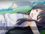 Maple Wind 2